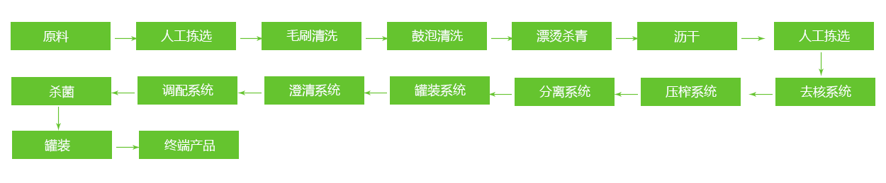 青梅工藝流程