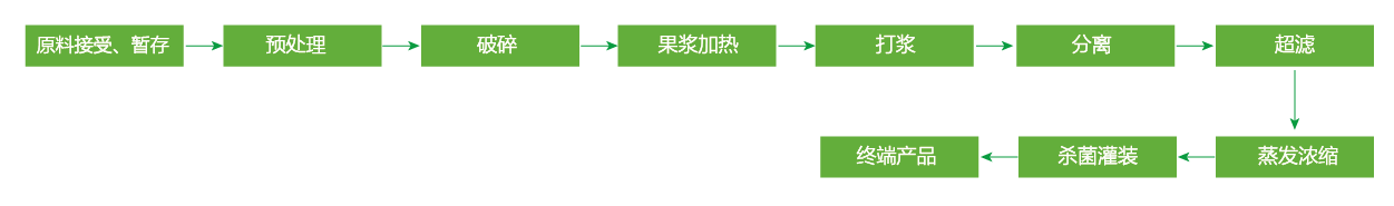 藍(lán)莓、草莓、桑葚濃縮汁